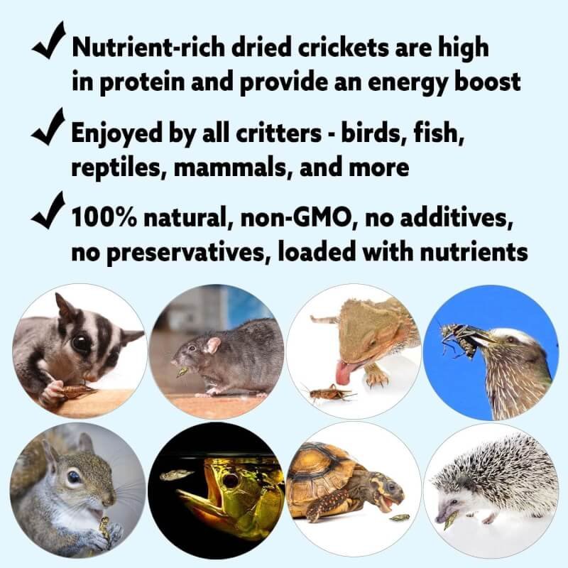 8 oz Dried Crickets - High Protein Insect Treat - Chickens, Wild Birds, Hedgehogs, Bluebirds, Reptiles, Sugar Gliders, Opossums, Skunks, Lizards, Bearded Dragons, Fish, Amphibians, Turtles (2)