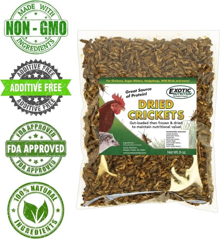 8 oz Dried Crickets - High Protein Insect Treat - Chickens, Wild Birds, Hedgehogs, Bluebirds, Reptiles, Sugar Gliders, Opossums, Skunks, Lizards, Bearded Dragons, Fish, Amphibians, Turtles (2)