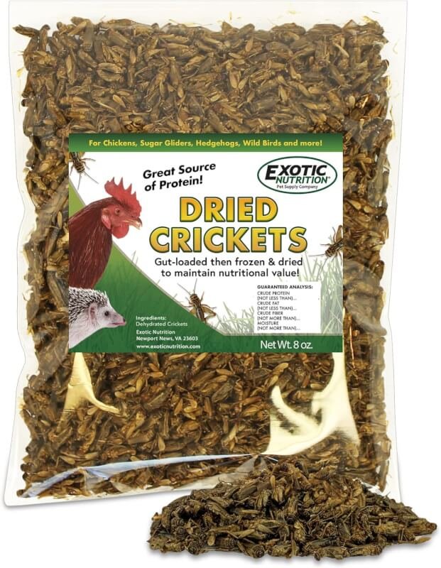 8 oz Dried Crickets - High Protein Insect Treat - Chickens, Wild Birds, Hedgehogs, Bluebirds, Reptiles, Sugar Gliders, Opossums, Skunks, Lizards, Bearded Dragons, Fish, Amphibians, Turtles (2)