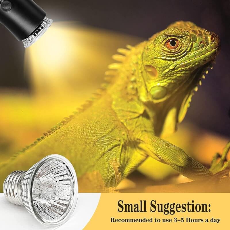 IOOTSEA Turtle Heat Lamp Tortoise Bulb: 50W UVB Reptile Heating Bulb for Lizards, Snakes, Aquarium Aquatic Reptile Amphibian - Terrarium Heat Lamps and Habitat Lighting for Pet Supplies