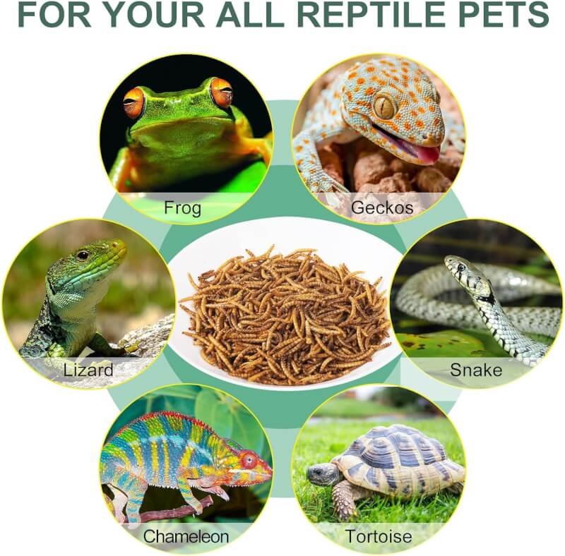 KUZINO Reptile Food Dried Mealworms - Pet Worms Food for Bearded Dragon Lizard Turtles, Chameleon Monitor Frog Sugar Glider Ducks Fish Hamsters and Hedgehogs (4 Ounce)