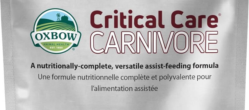 Oxbow Animal Health Critical Care, Carnivore, 70 Gram Bag