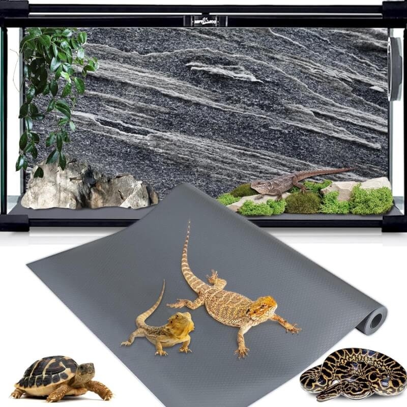 reptile tank accessories review