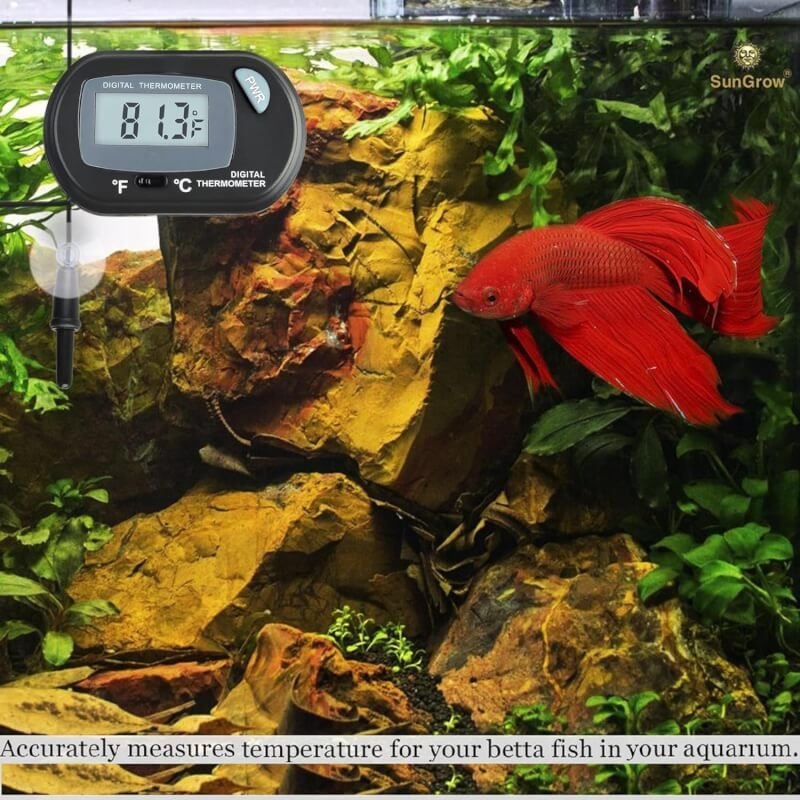 SunGrow Reptile Digital Thermometer, Waterproof Sensor Probe Monitors Temperature Accurately, Includes Replaceable Batteries, Easy to Read Display