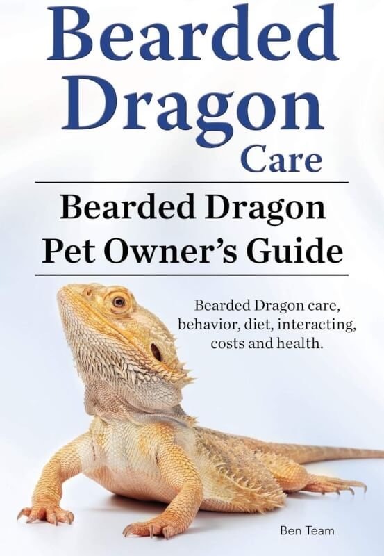 bearded dragon care review