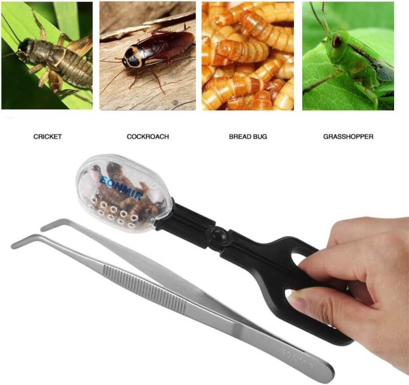 EONMIR Feeding Tool, Cleaning Supplies Scooper and Tweezers for Reptile, Hedgehog, Hamsters, Guinea Pig, Rat, Lizard and Other Small Animals Supplies