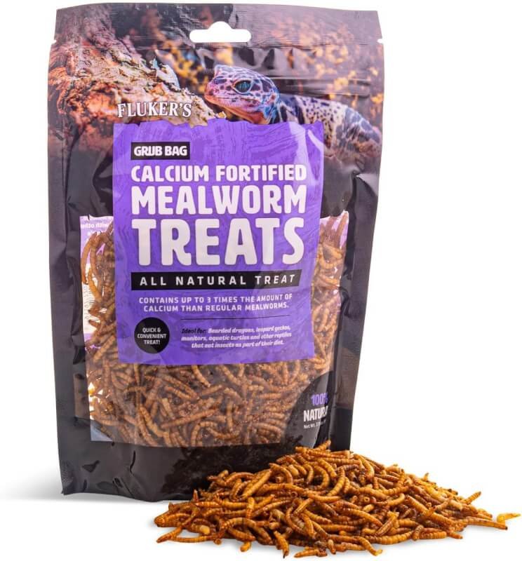 flukers all natural mealworm treat review