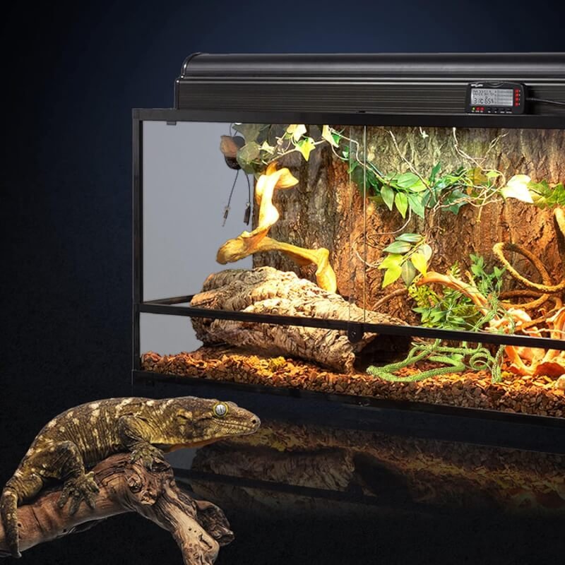 mechpia bearded dragon tank accessories review