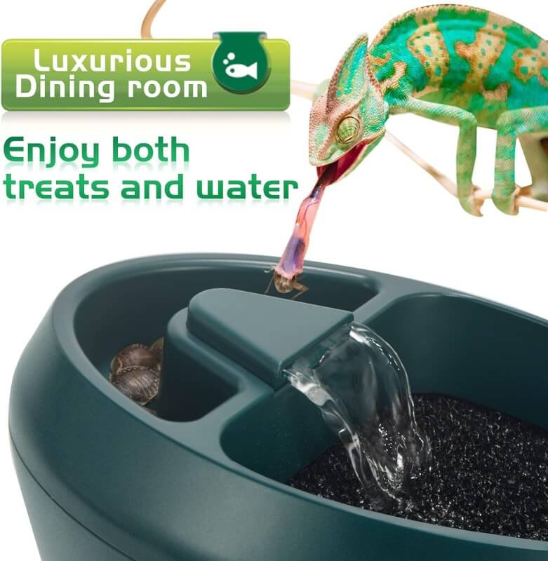 NEPTONION Reptile Chameleon Cantina with Snacks Trough, Drinking Fountain Water Dripper for Amphibians Insects Lizard Turtle Snake Spider Frog Gecko, Comes with Two Pumps (One for Replacement)