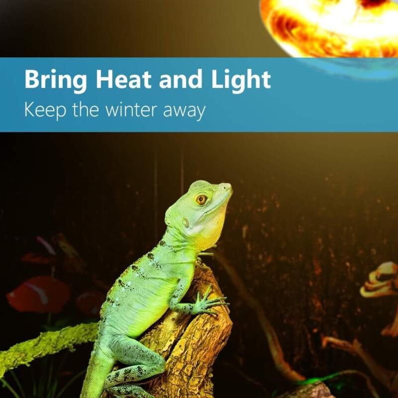 Reptile UVB UVA Heat Lamp Bulb for Reptiles Truly Sun-Like Bright Heat for Reptiles, Amphibian 100 W+