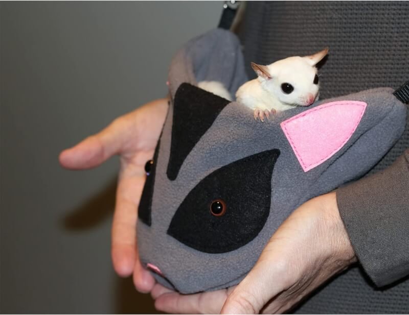 sugar glider face nest pouch review