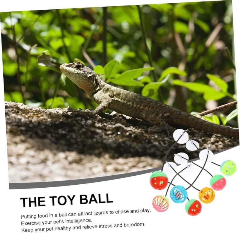 aboofan lizard toy ball sucker review