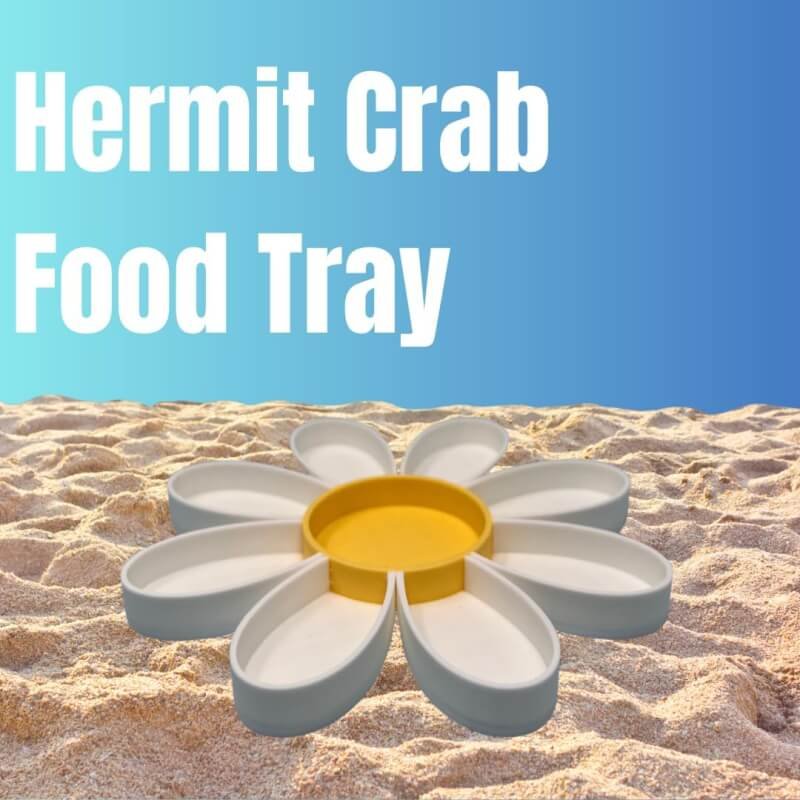 Hermit Crab Daisy Food Tray | 9 Dividers Daisy Design | Great Feeder Dish for Crab, Lizard or Frog Terrariums | Made in USA (Daisy)