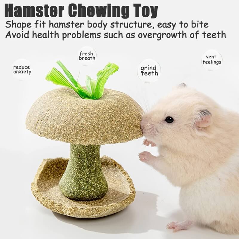 kathson 3 Pcs Guinea Pig Toys, Hamster Chew Toys, Hamster Chew Bowl, Apple Core Hamster Molar Bowl, Chew Toys for Teeth Hamster Chinchilla Guinea Pig or Other Small Animals