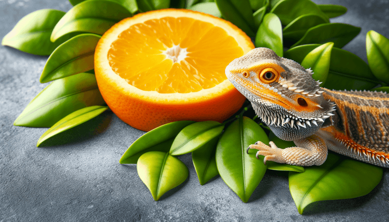 Can Bearded Dragons Eat Oranges