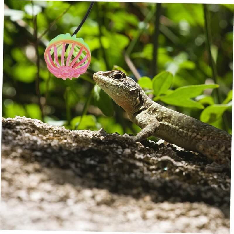 frcolor 35 pcs lizard toy ball reptile toy reptile tank accessories lizard bell balls reptile lizard chinchilla accessor 3