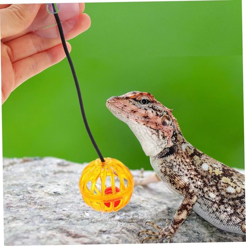 frcolor 35 pcs toy ball funny bearded dragon toy cat jingle balls lizard balls toys cat bell colorful cat balls bearded 1 3